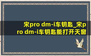 宋pro dm-i车钥匙_宋pro dm-i车钥匙能打开天窗吗